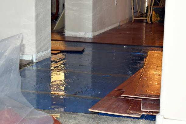 Professional Emergency Water Damage Restoration technician working in Warrington, FL
